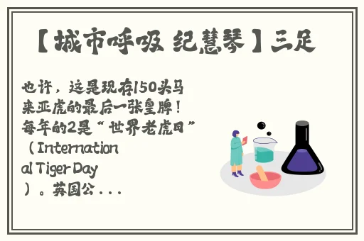 久久精品人人爽人人爽澡